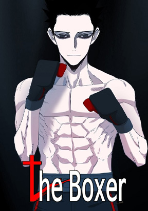 The Boxer